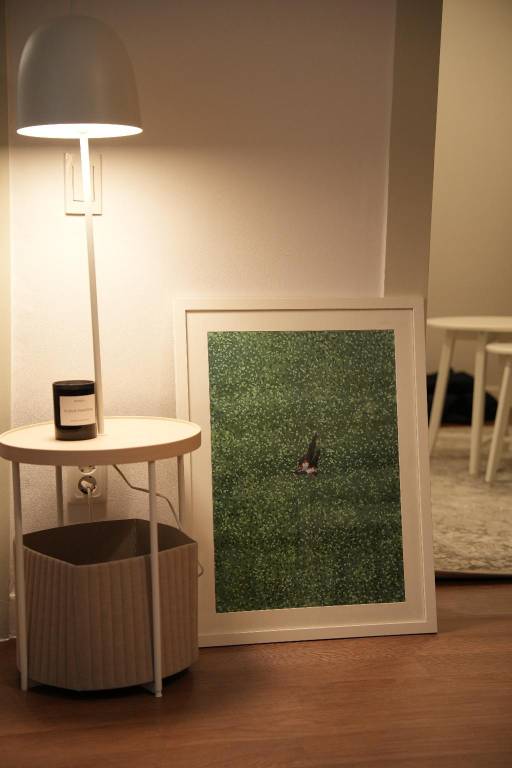 foto22