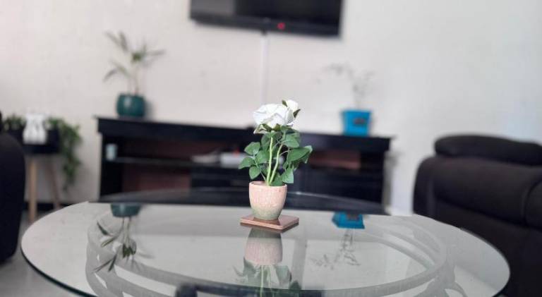 foto22