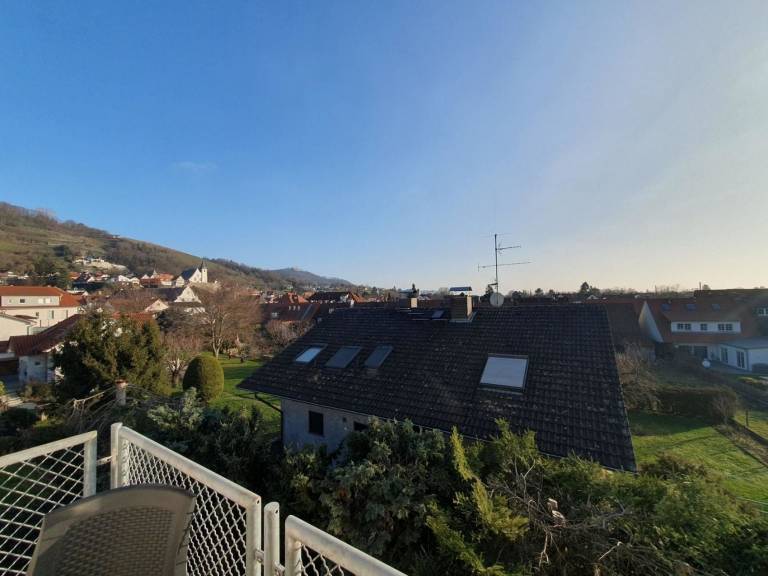 foto11