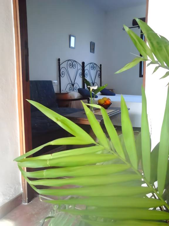Aparthotel with yard | Garden view — photo 3