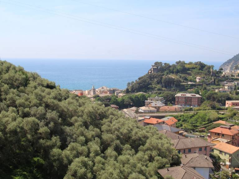 Rental apartment with pool, patio & yard | Sea view — photo 5