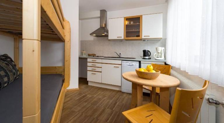 Apartment with patio & sauna | Close to the ski | Pet-friendly — photo 4