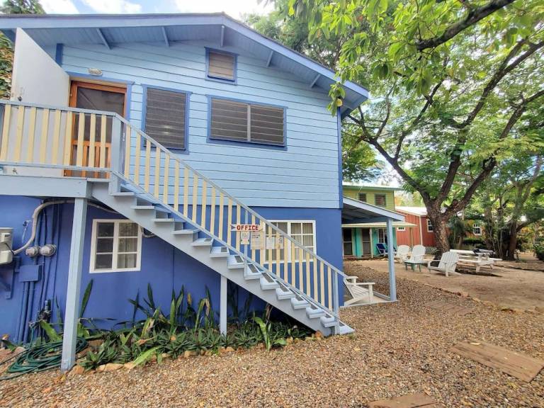 Accommodation  Placencia