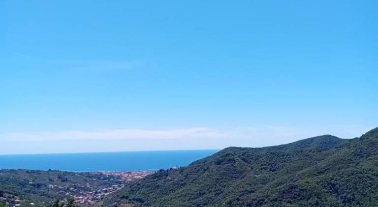 foto0