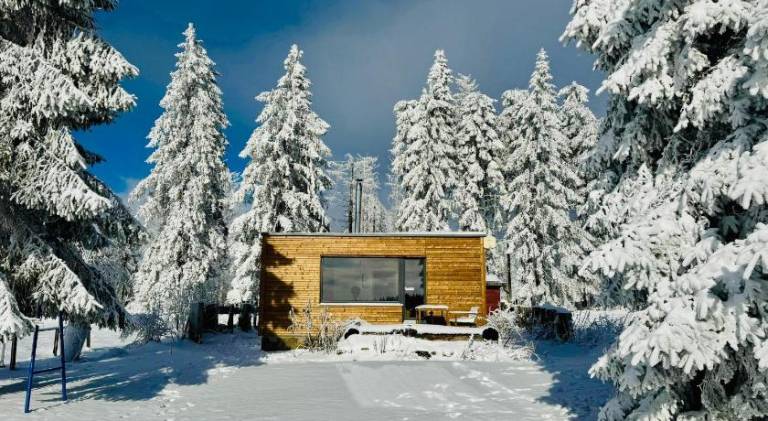 Chalet with 2 rooms for 5 persons in Neuhaus am Rennweg