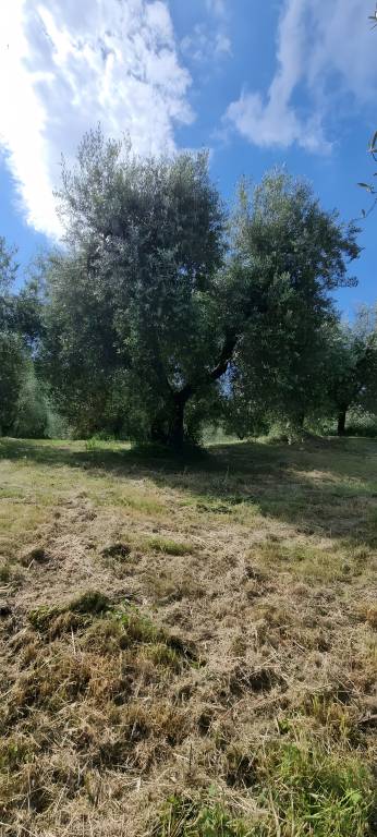 foto32