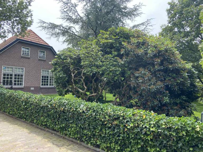 foto16