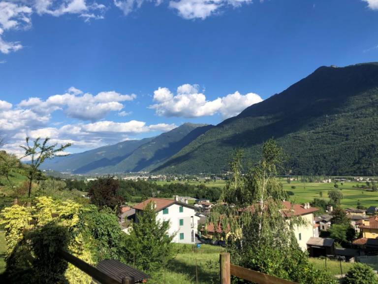 foto45