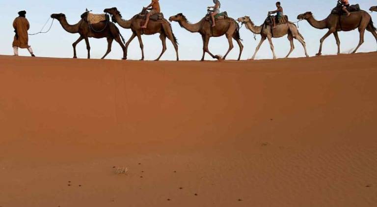 Bivouac Desert Du Maroc — photo 5