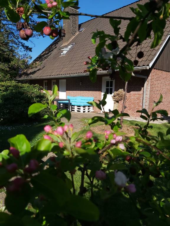 foto19