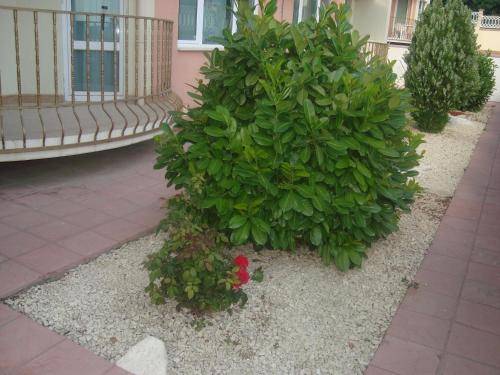 Apartment  Икантълъка