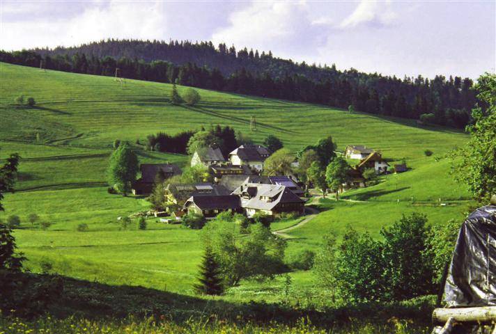 foto41