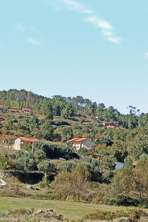 foto40