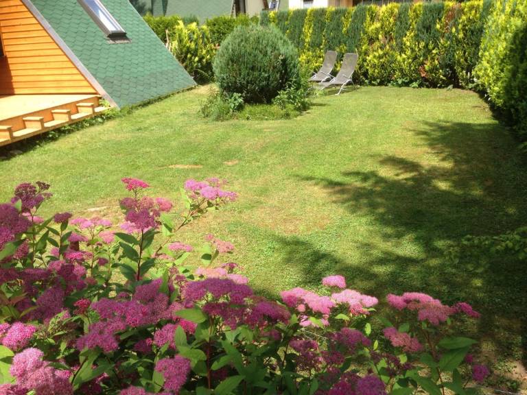 Vacation home with patio, yard & BBQ | Nature view | Pets allowed — photo 5