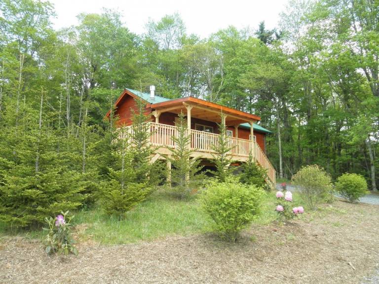 Cabin Spruce Pine