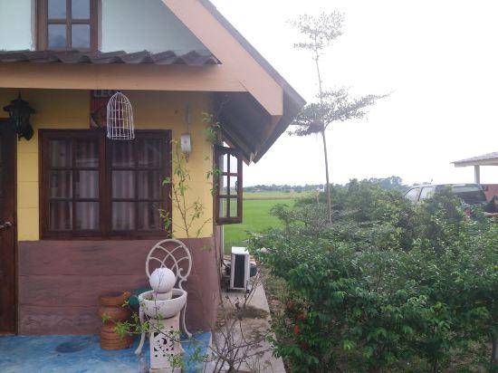 7 up Resort — photo 2
