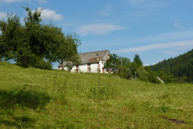 foto6