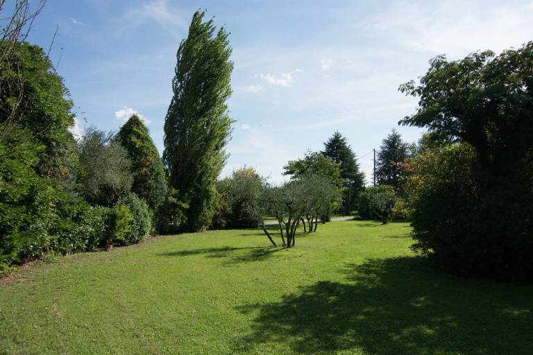 foto29