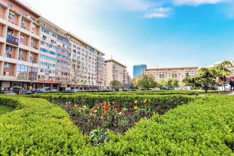 Apartment  Sector 1