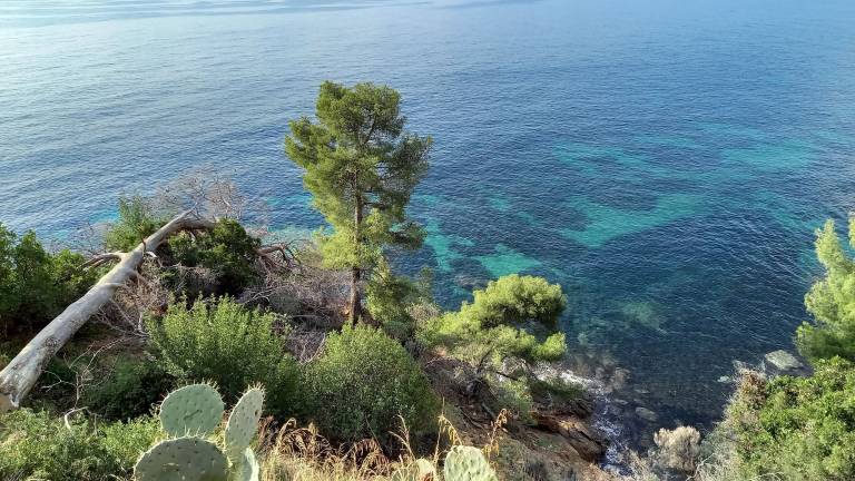 Villa  La Londe-les-Maures