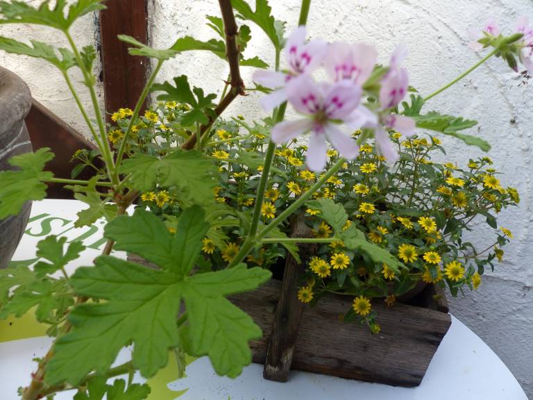 foto5