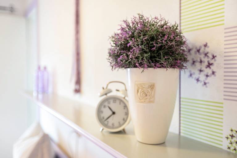 Hütte Emmelsbüll-Horsbüll