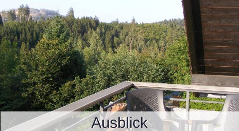 foto20