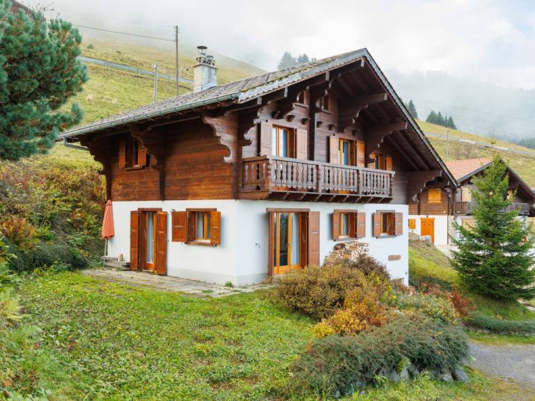 Maison de vacances Les Crosets