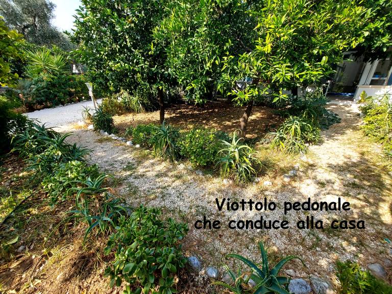 foto6