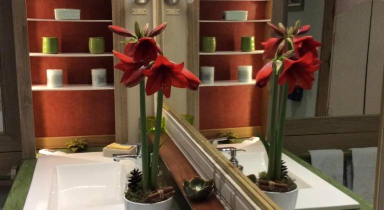 foto36