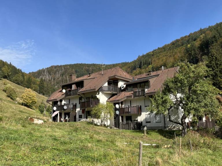 foto29