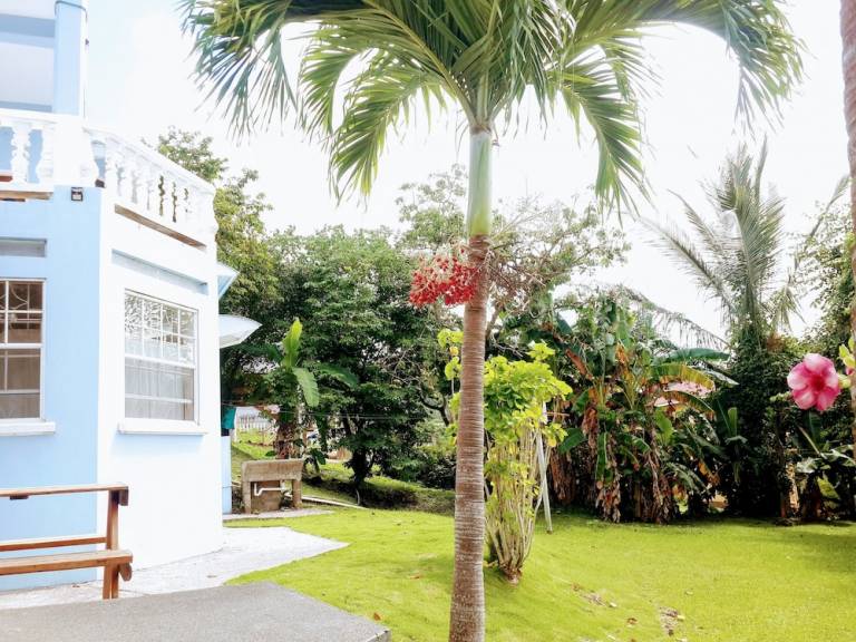 Apartment  Mt.Parnassus