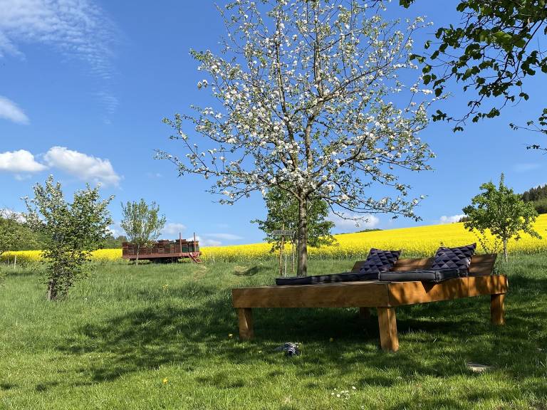 foto25