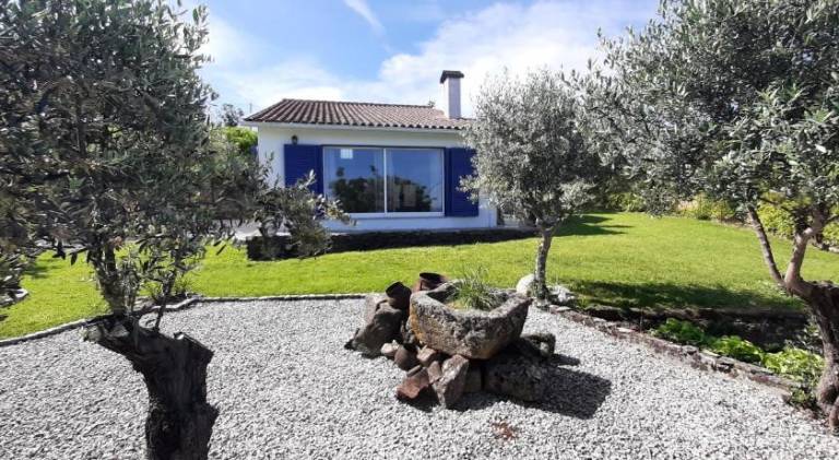House with barbeque, patio & yard in Coimbra