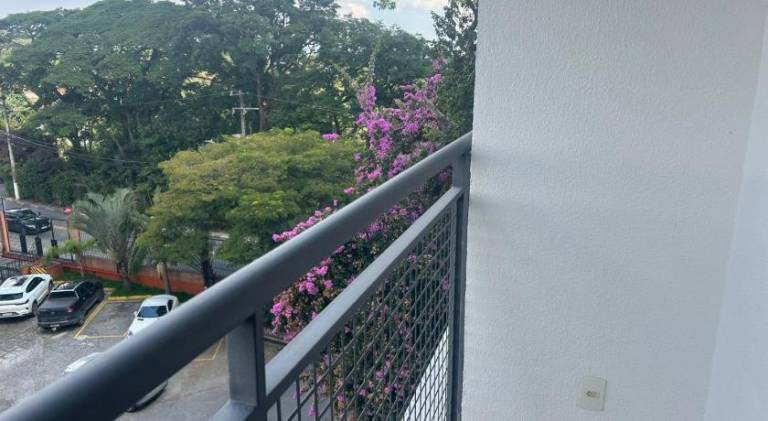 foto11