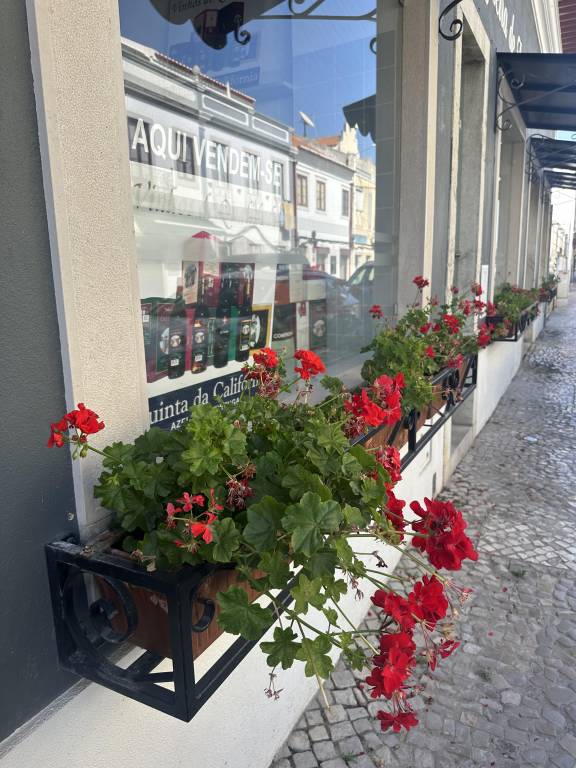 foto17