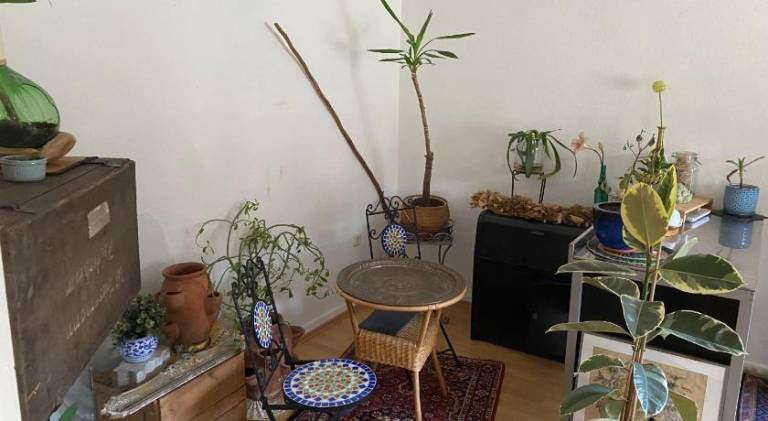 Rental apartment with 1 room for 4 persons in Wuppertal
