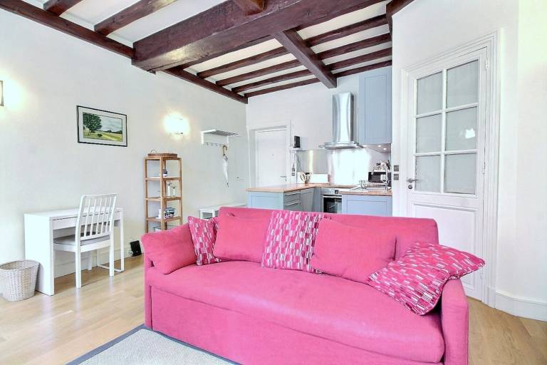 Nice apartment | Close to Notre-Dame de Paris | Dogs allowed — photo 4