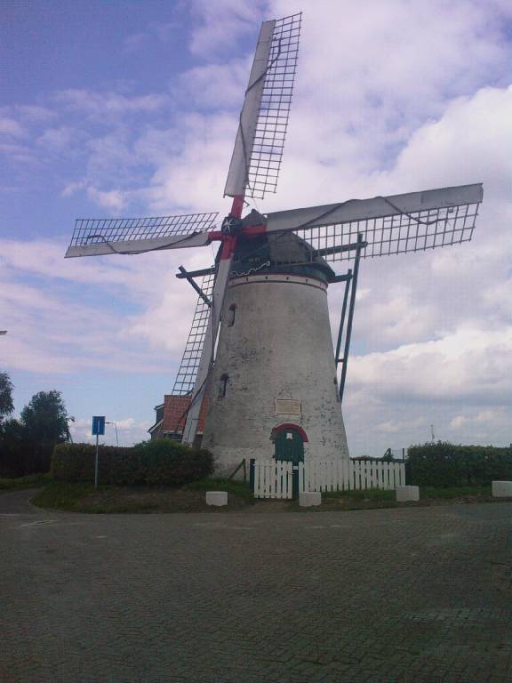 foto41