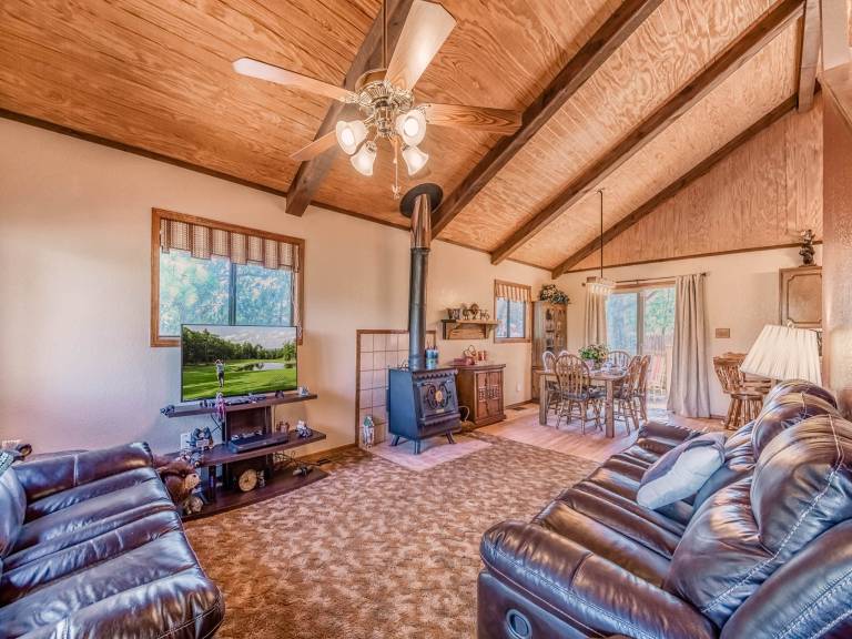 413MOCKINGBIRDMTNCB - Mockingbird Cabin — photo 3