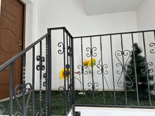 foto8