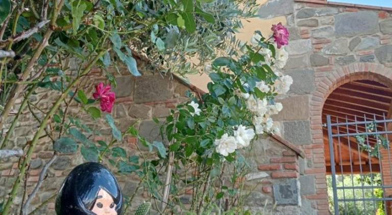 Apartment with 1 room for 4 persons in Reggello