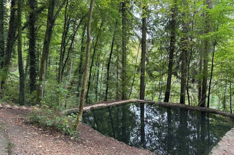 foto12