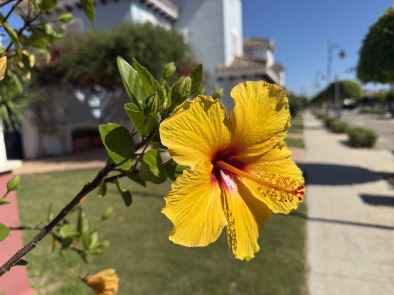foto11