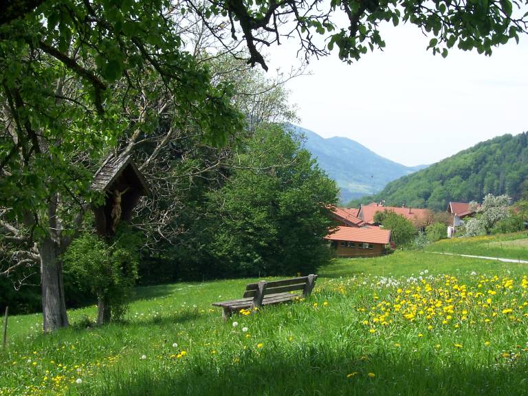 foto20