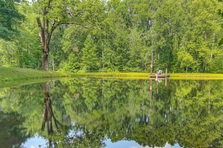 20-Acre Cabin w/ Pond: 5 Mi to Biltmore Estate! — photo 2