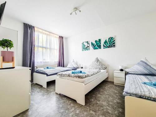 foto11