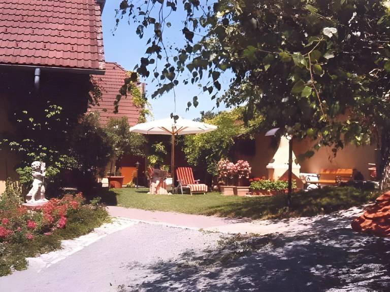 foto31