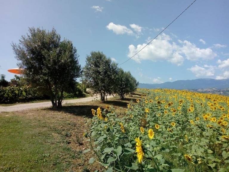 foto19