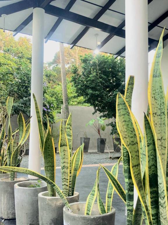 foto41